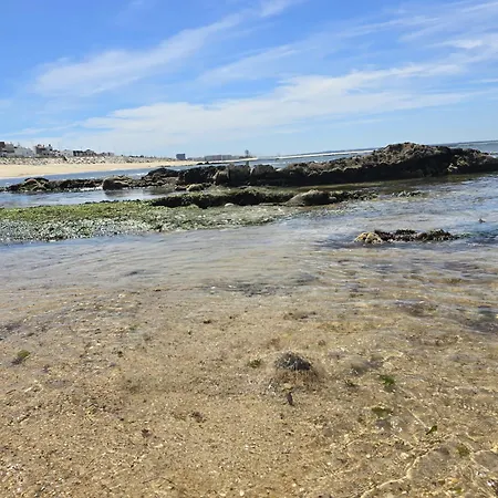 Apartamento Casa Pedra Da Nau- 2 Bedroom @figueira Da Foz Buarcos