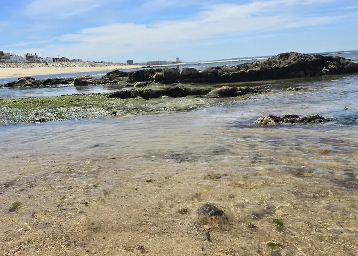 Lägenhet Casa Pedra Da Nau- 2 Bedroom @figueira Da Foz Buarcos